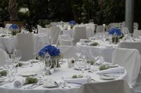 wedding-785355_1280